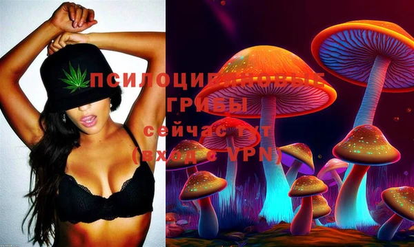 МДМА Алексин